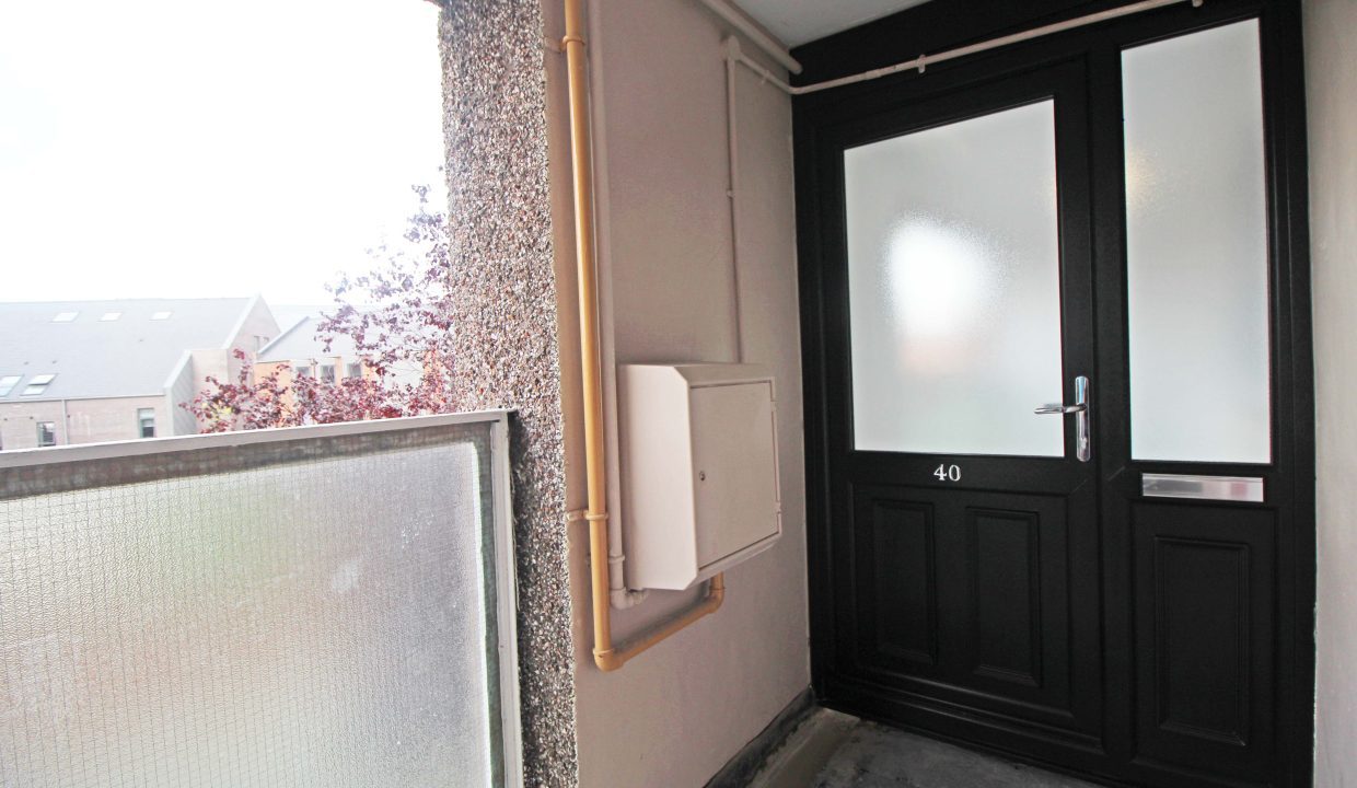40 Carter Street (21)