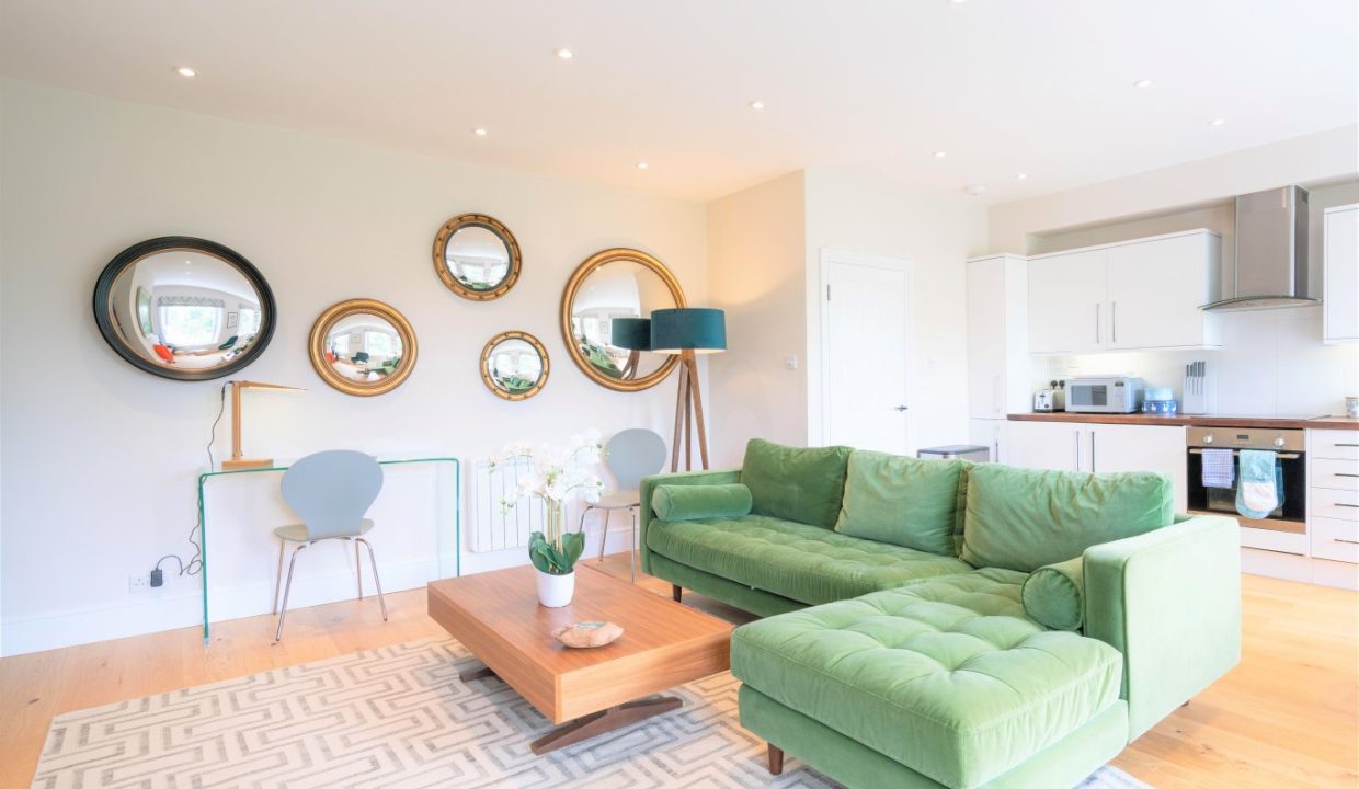 20 Montpellier Flat 4 2 (1)