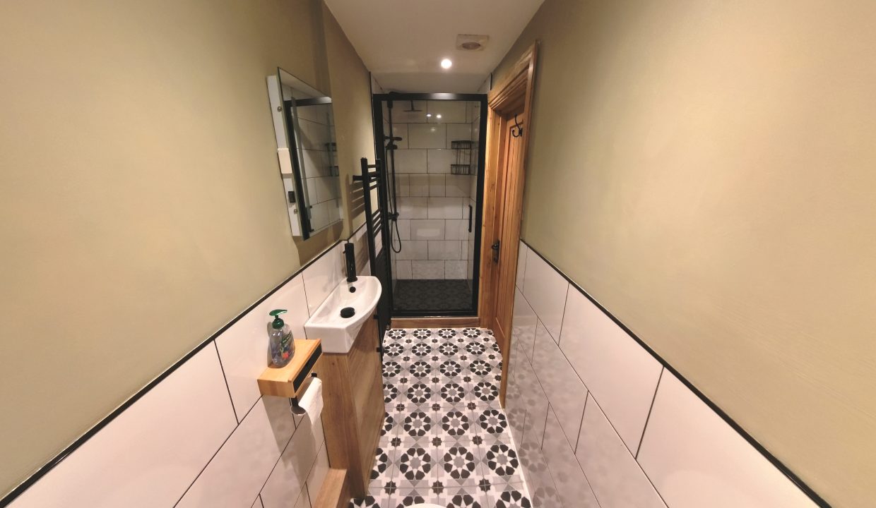 Downstairs Bathroom 01