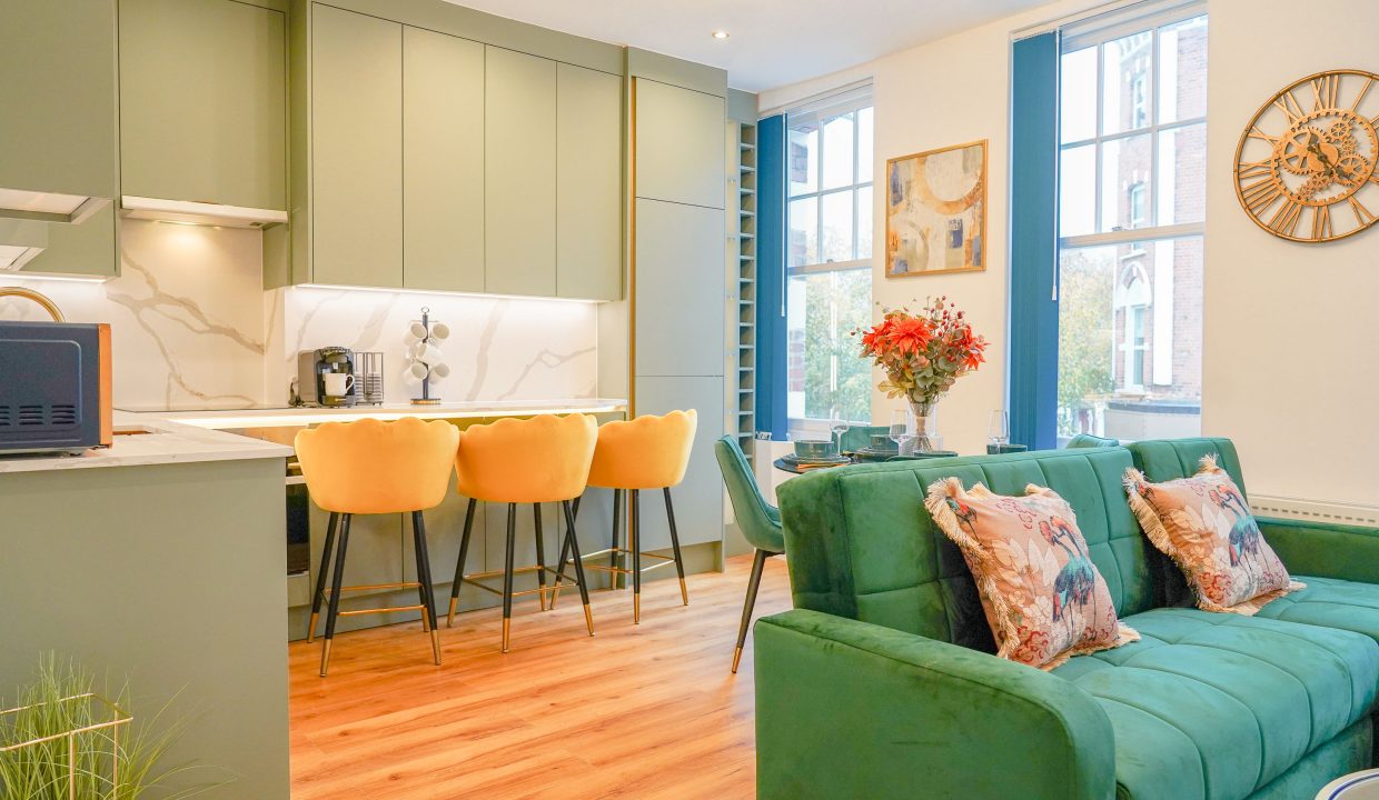 Regal Stay -Clapham Junction 3 , London (1)