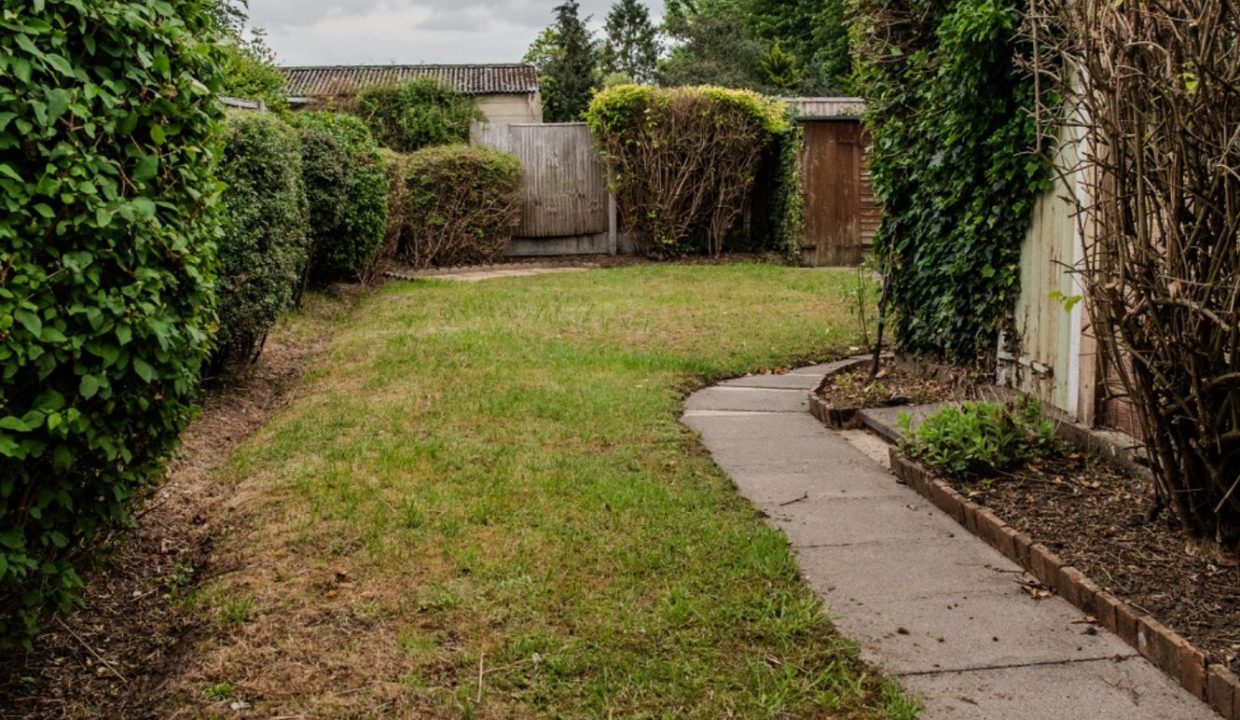 Garden 2