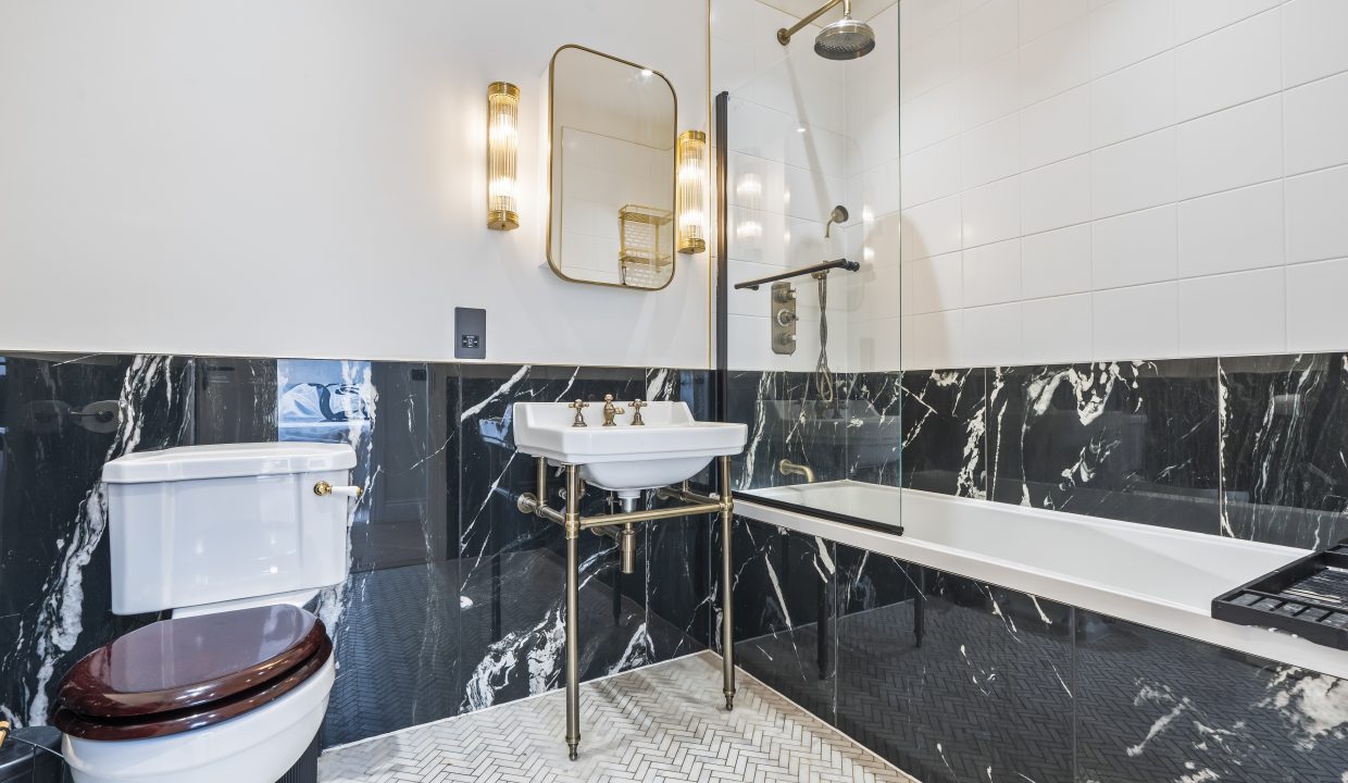 Bathroom shot  (1)